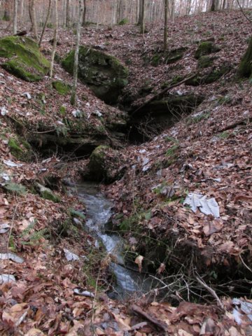 springwithcave.jpg