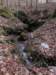 springwithcave_small.jpg