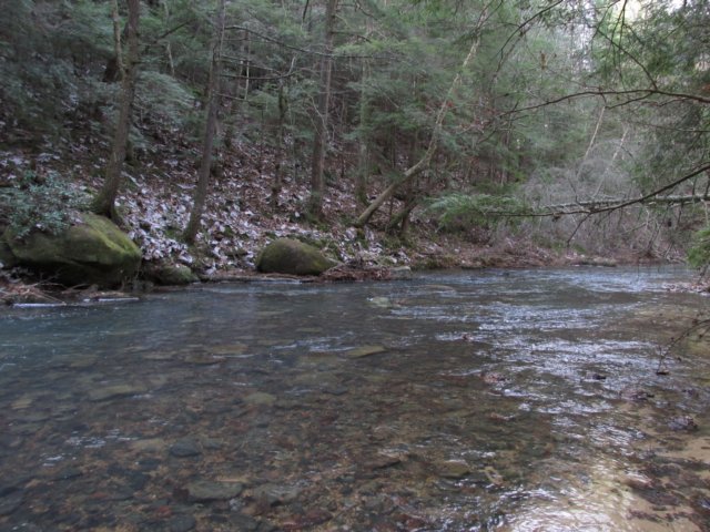 img_0721.jpg