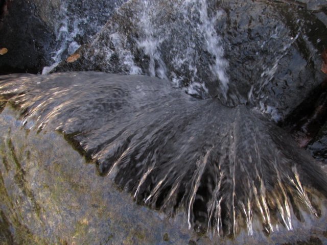 img_1449.jpg