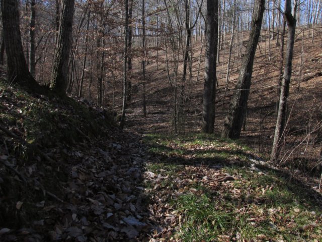 img_1519.jpg