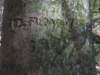 treecarving_small.jpg