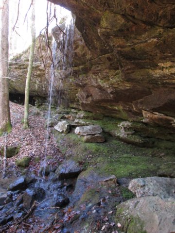 waterfall5.jpg