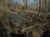beaverdam_small.jpg