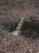 coolbridge_small.jpg