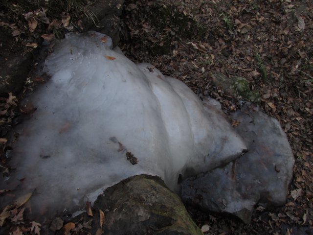 frozensteps.jpg