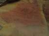 img_1879_small.jpg