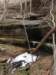 malonebranchfalls_small.jpg