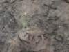 img_2182_small.jpg