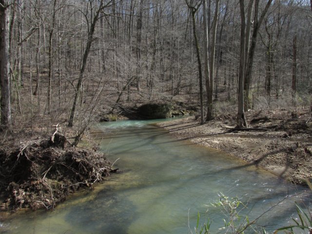 junctionoflickbranchandthompsoncreek.jpg