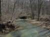 junctionoflickbranchandthompsoncreek_small.jpg