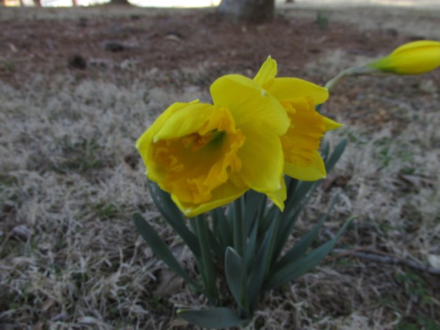 img_3444.jpg