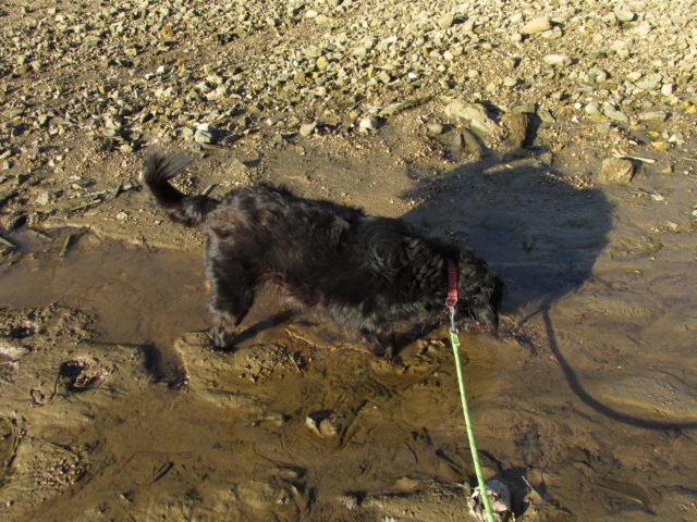 playinginthemud.jpg