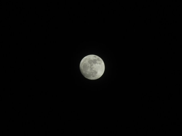 img_3936.jpg