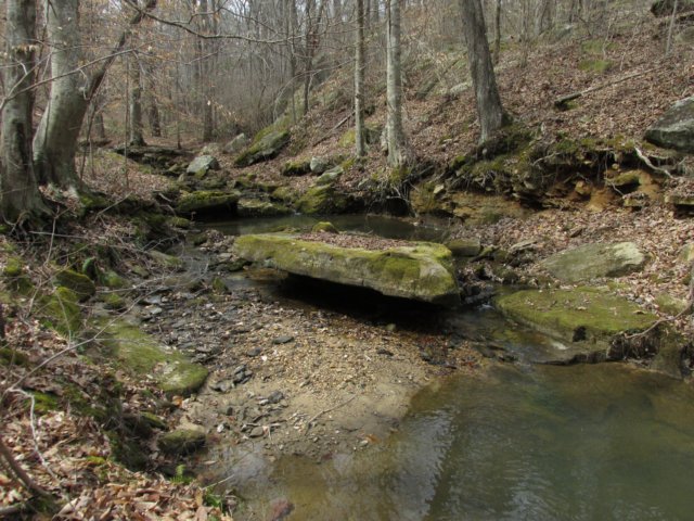 img_4063.jpg