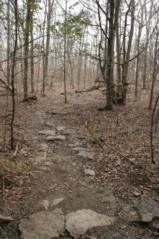 img_7129.jpg