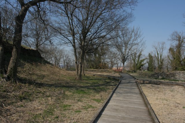 img_7382.jpg