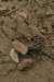 img_7279_small.jpg