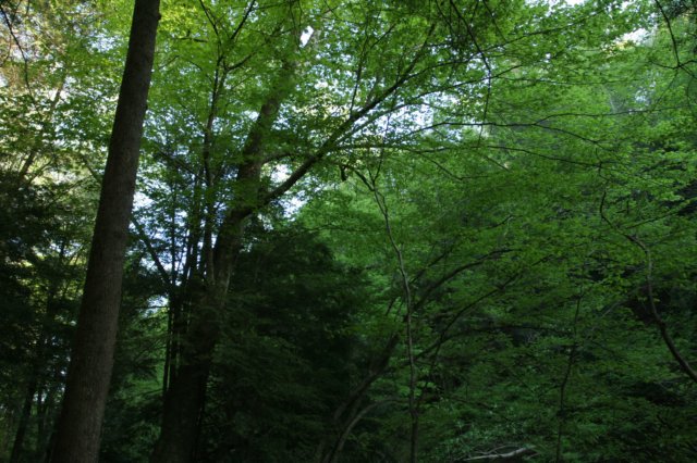 img_7993.jpg