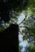 img_8001_small.jpg