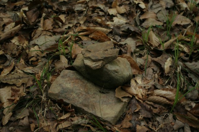 img_8051.jpg