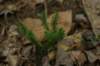 img_8088_small.jpg