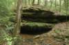 img_8118_small.jpg