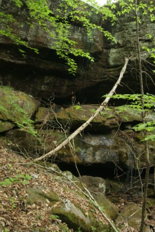 img_8181.jpg
