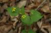 img_8198_small.jpg