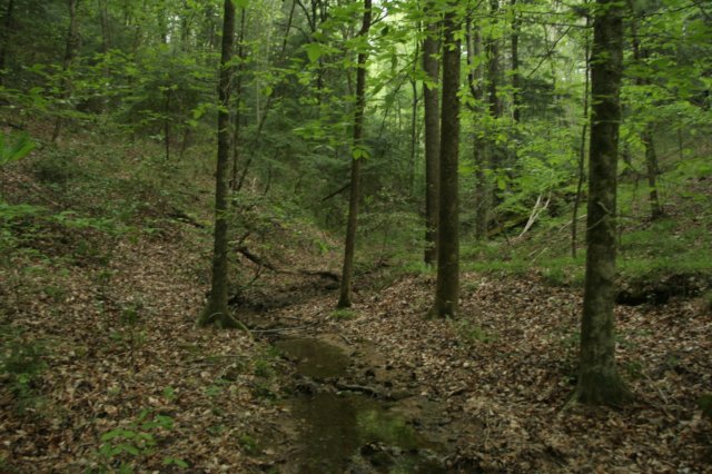 img_8206.jpg
