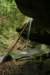 img_8238_small.jpg
