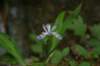 img_8305_small.jpg