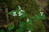 img_8328_small.jpg