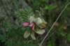 img_8993_small.jpg