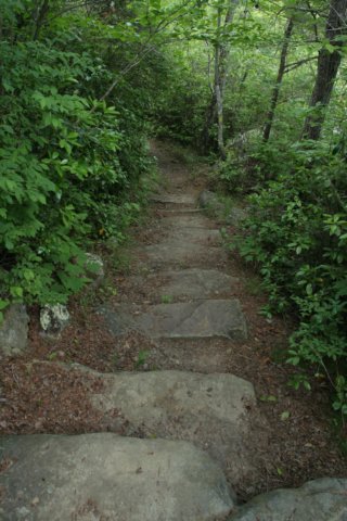 img_8996.jpg
