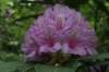 img_9000_small.jpg