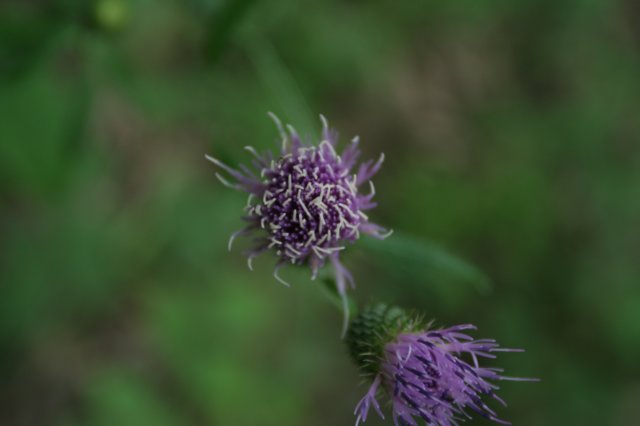 img_9149.jpg