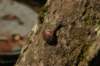 img_9332_small.jpg