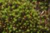 img_9484_small.jpg