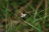 img_9511_small.jpg