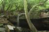 laurelfalls_small.jpg