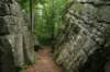 maplabelsthisneedleeyerock_small.jpg