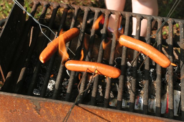 turkeybratwurst.jpg
