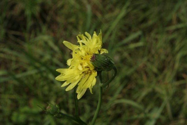 img_9659.jpg