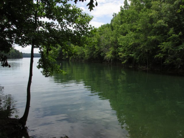 img_4554.jpg