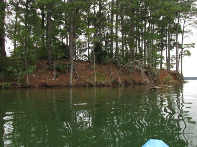 img_4814.jpg