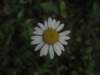 img_4916_small.jpg