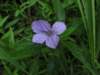 img_4920_small.jpg