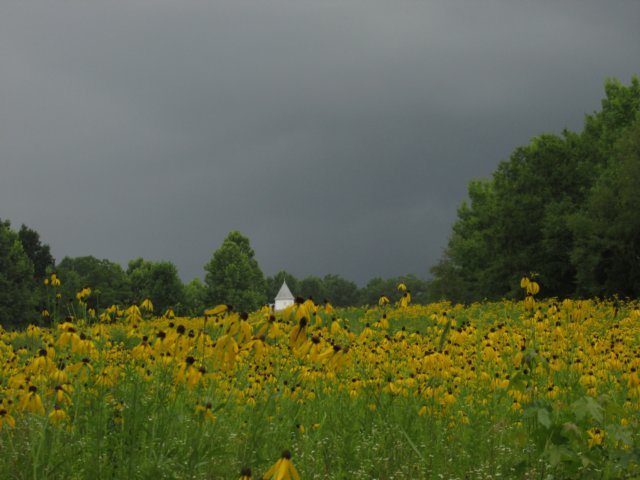 img_4933.jpg