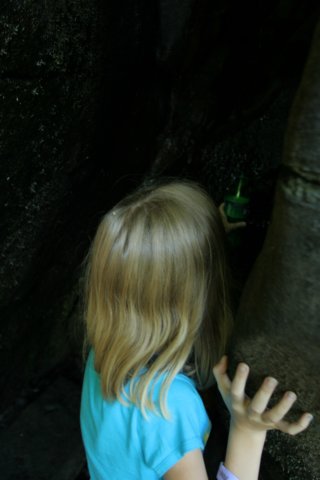 img_0405.jpg